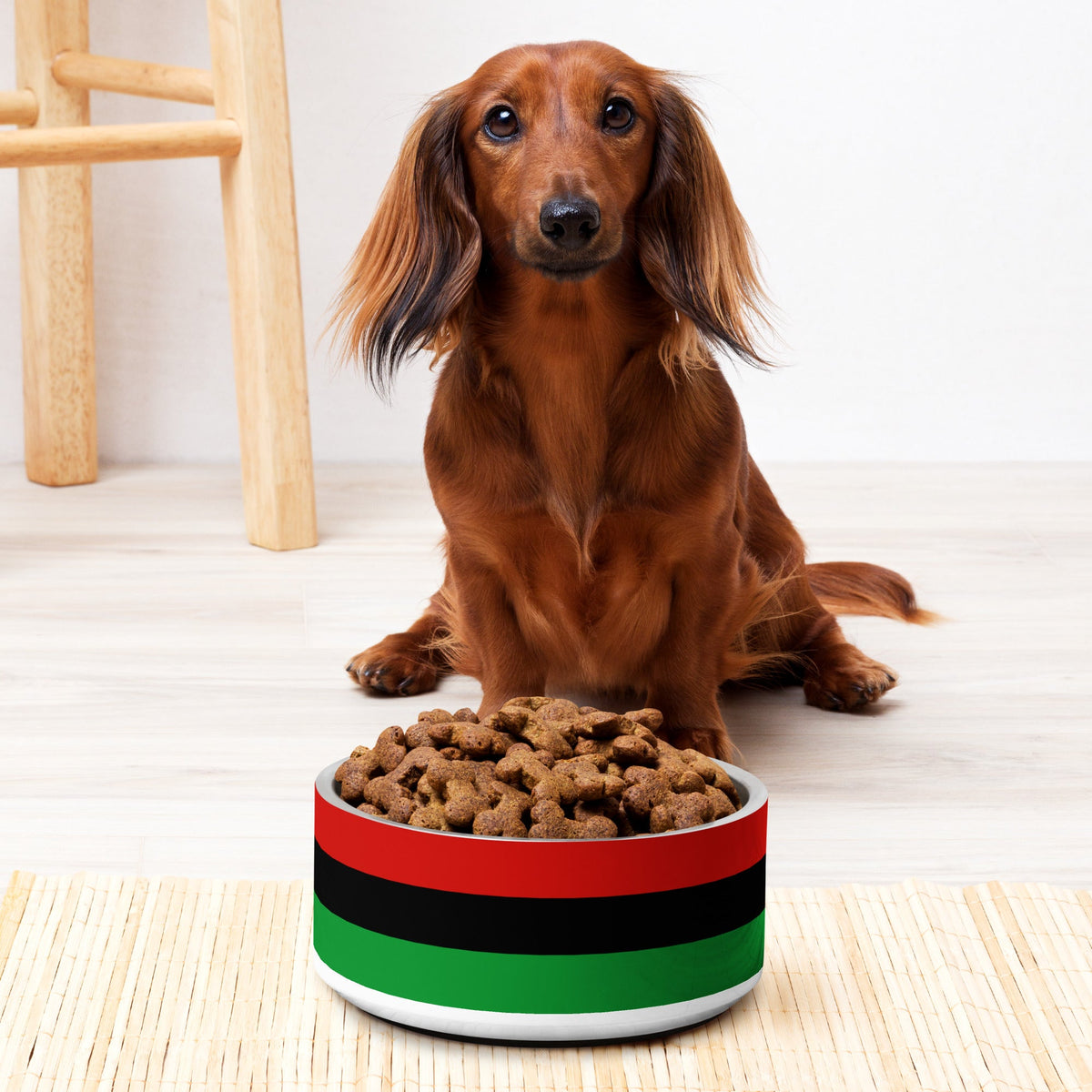 Red, Black, and Green Liberation Flag Dog Bowl, 2 Sizes, Stainless Steel Dog Dish, Durable & Stylish, Black Flag Pet Food Bowl - ERODA Lifestyles